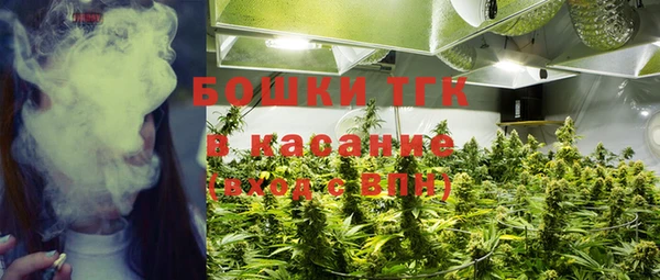 спиды Арсеньев
