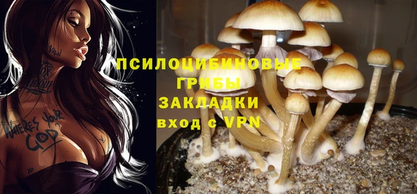 2c-b Баксан