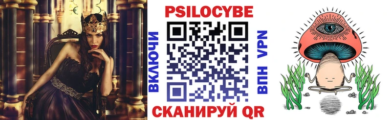 Псилоцибиновые грибы Psilocybe  даркнет какой сайт  Шахты 